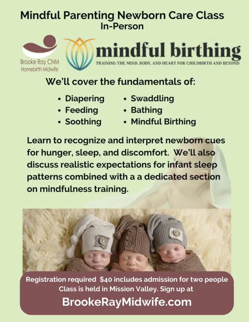 Mindful Parenting Newborn Care Class In-Person San Diego